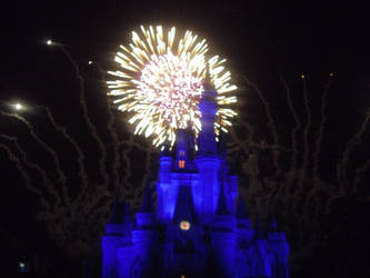 Disney World Fireworks 4