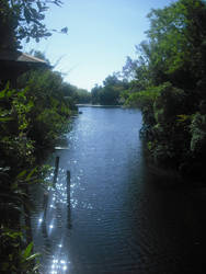 Animal Kingdom River