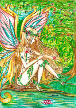 Fairy