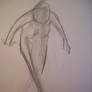 Life Drawing