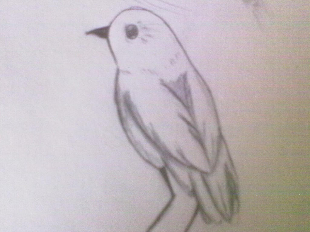 a japanese bird