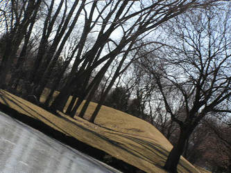 Ice Lake Tree Line