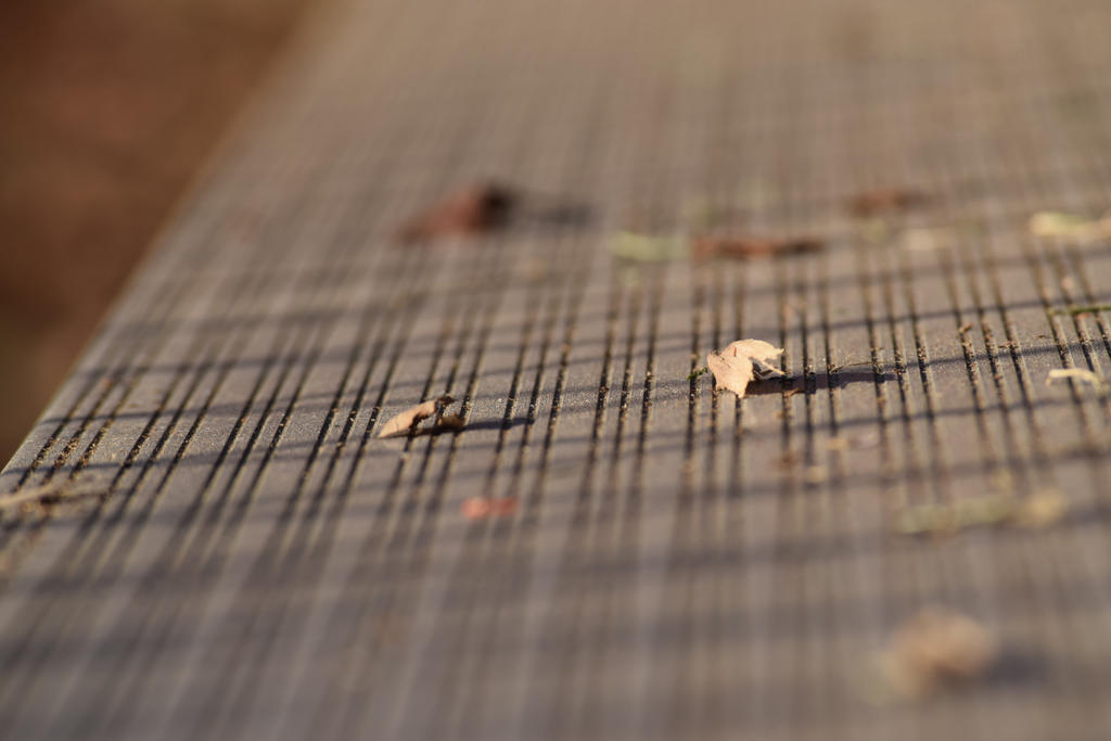 Casted Shadows by Stoneleaf83 on DeviantArt