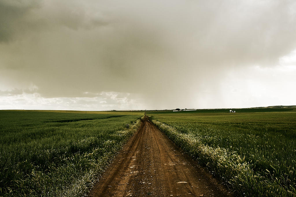 Sand Road 03