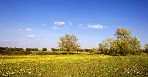 Panoramica Paisaje