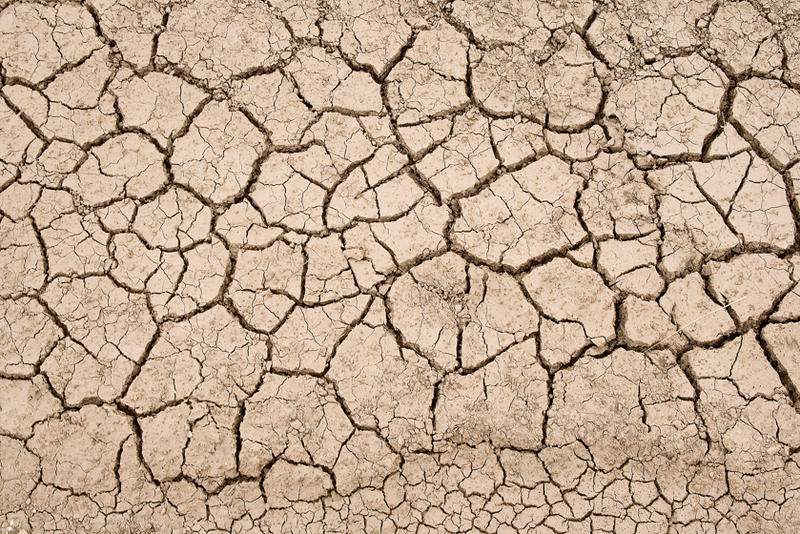 Textura Tierra Seca 01