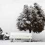 Banco y Arbol con Nieve