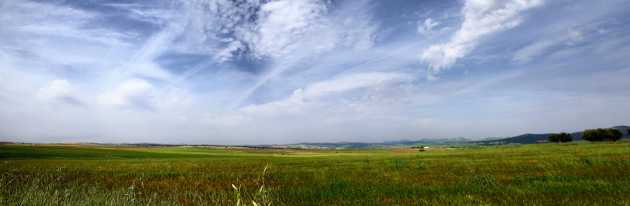 Campo de Trigo Panoramica