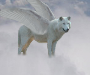 Wolf in the Clouds