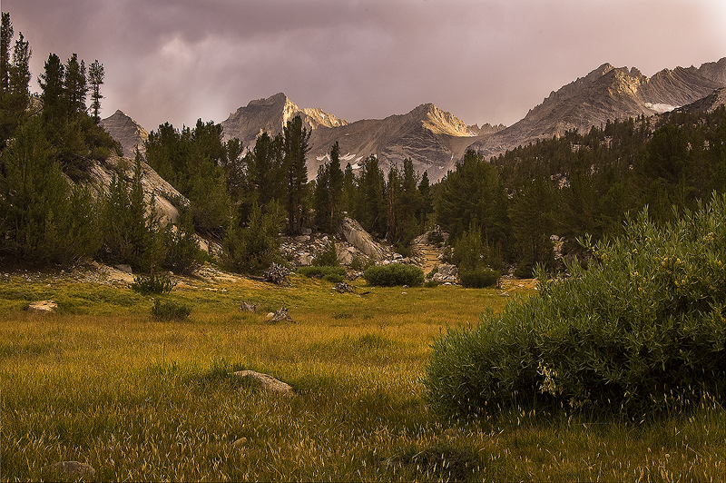 Meadows and Mountains