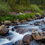 Rock Creek, Eastern Sierra