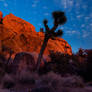 Glowing Rocks, Joshua Tree