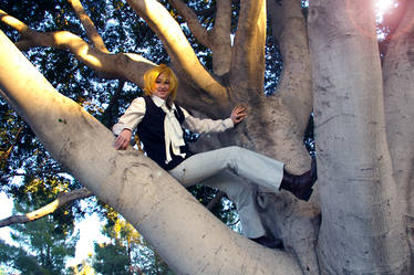 PH: Tree Climbing