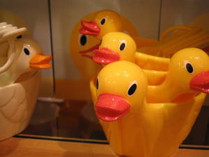 plastic duckies.