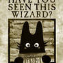 Have you Seen this Wizard?