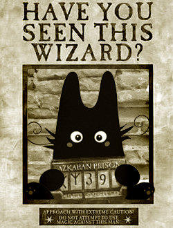 Have you Seen this Wizard?