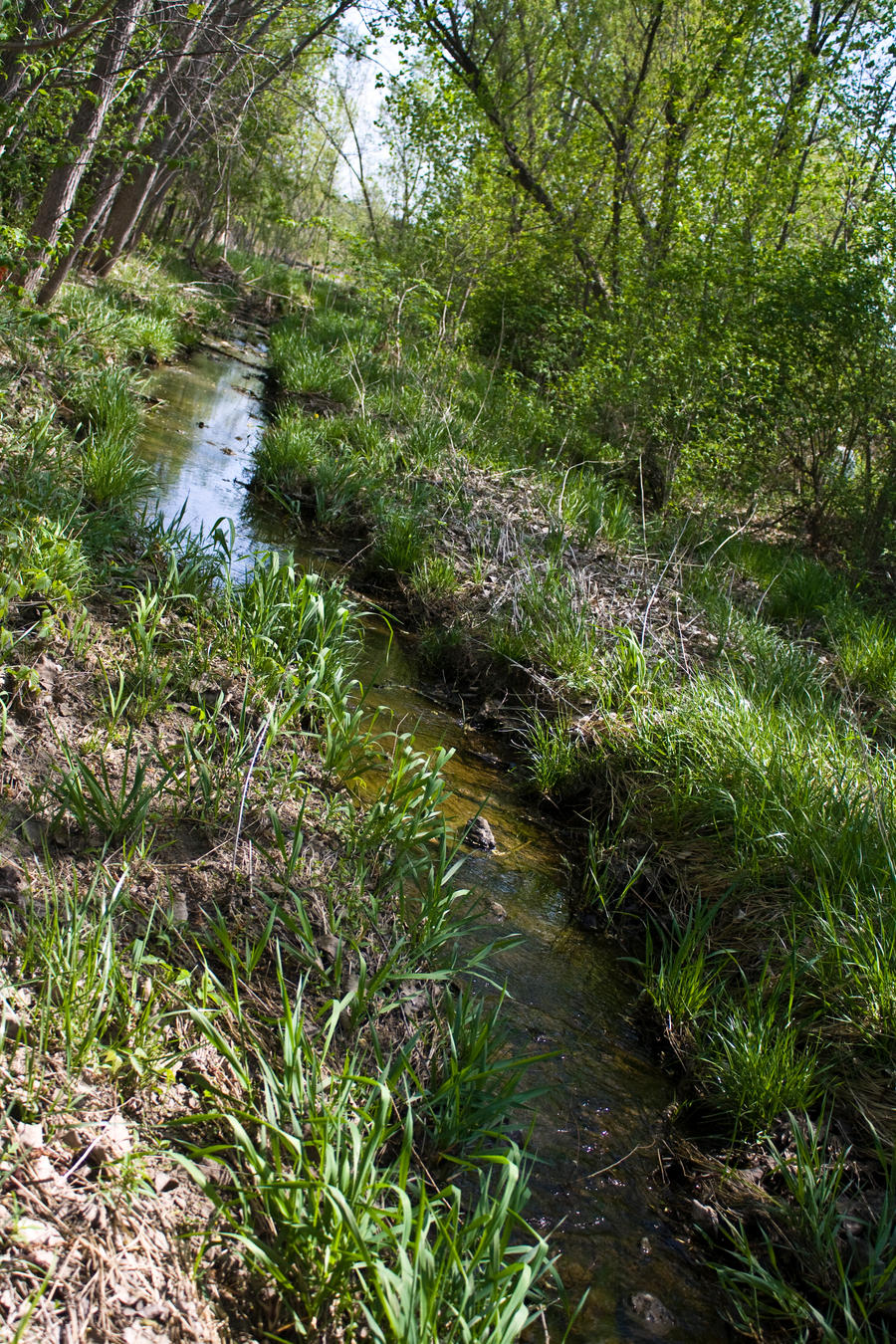 The Watery Path