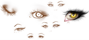 Eyes Studies #1
