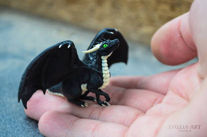 Dragon Cave - Black Dragon - Male Hatchling