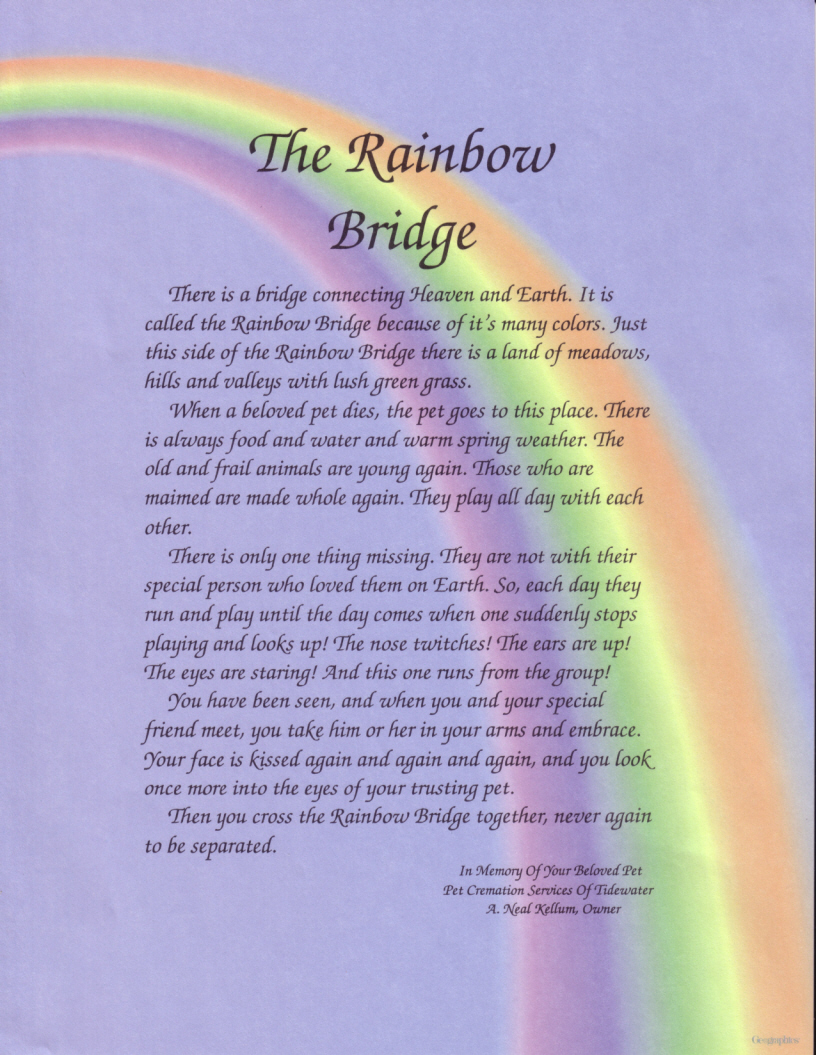 Rainbow Bridge By Spyroflame09 On DeviantArt rainbow-bridge-by-spyroflame09-on-deviantart