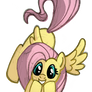 Fluttershy