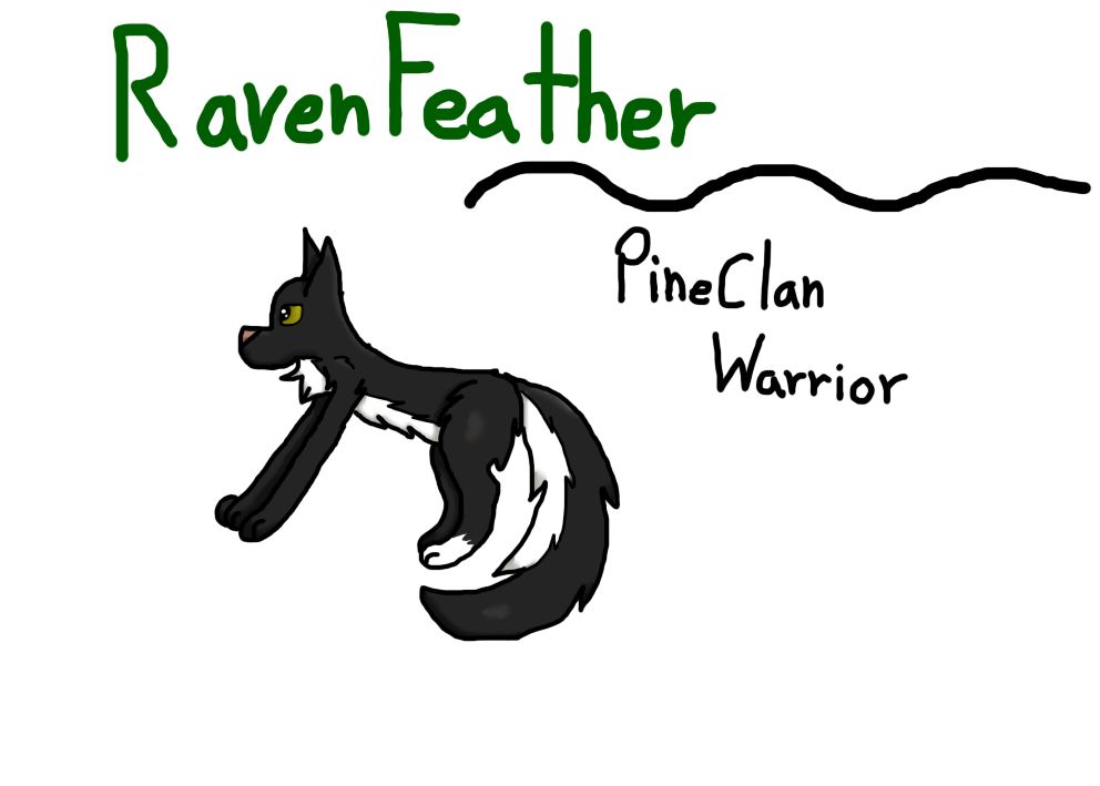 RavenWing | PineClan Warrior