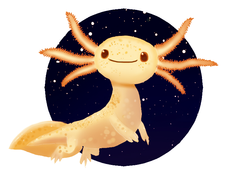 Little axolotl