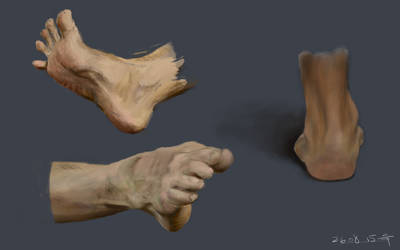 feetStudy 01