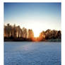 Frosty Day 2