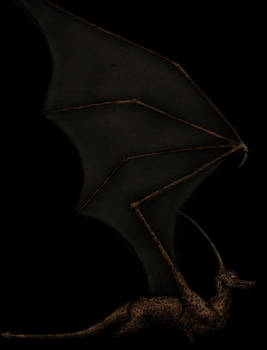 Proper Wings