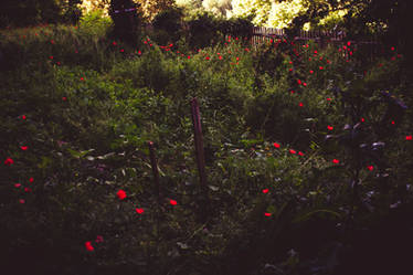 The Gardens of The Valley