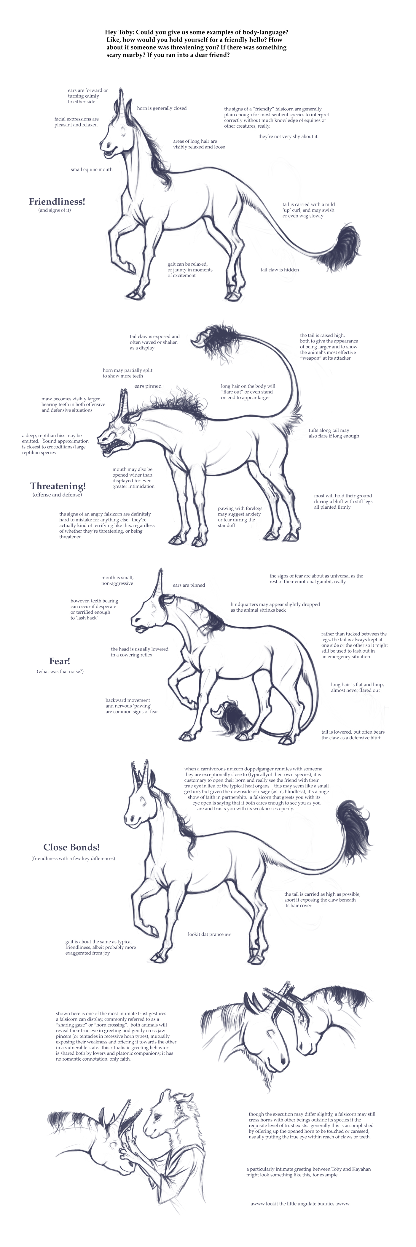 Heth - Toby's Guide to Body Language