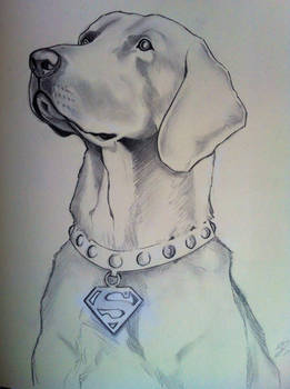 Krypto, the Superdog