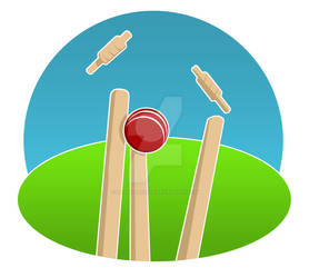 Cricket 2