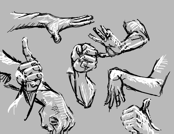 Anatomy study, arms by Tentu on DeviantArt