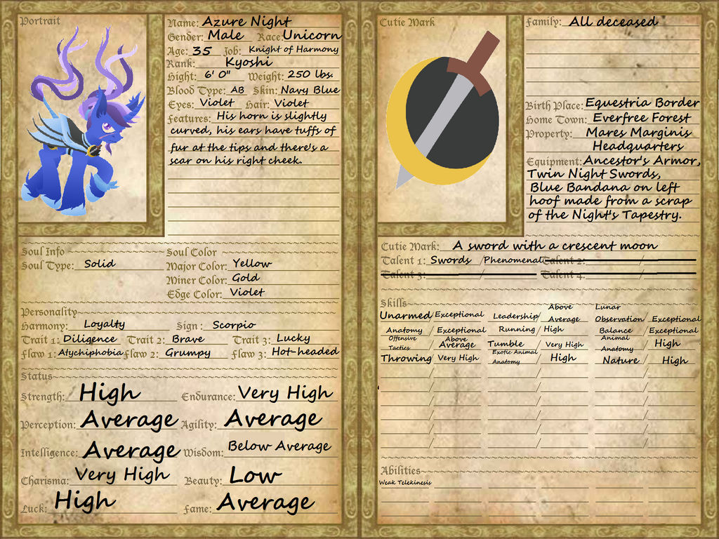 Azure Night's Character Sheet by The1King on DeviantArt