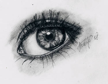 eye