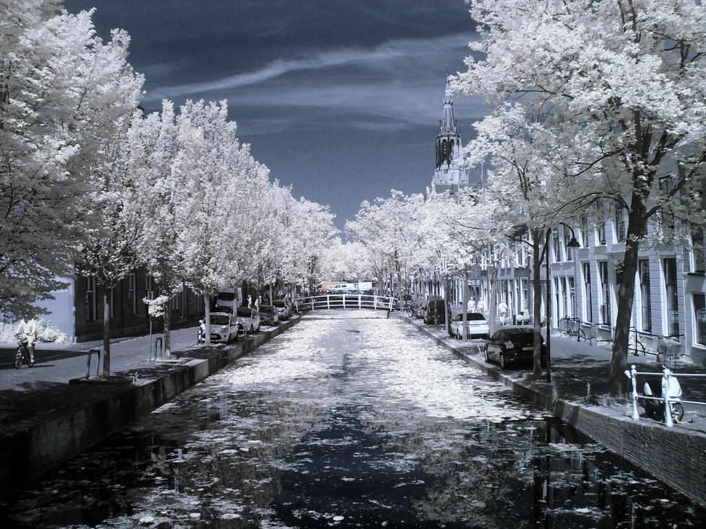 Elysion by Sercy Elysion by Sercy
