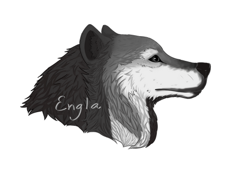 Wolf head drawing