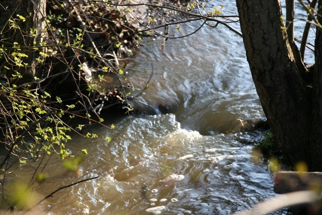 Krebsbach by Miakoda7 on DeviantArt