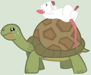 Mlp Eg Pet Base Rat And Turtle