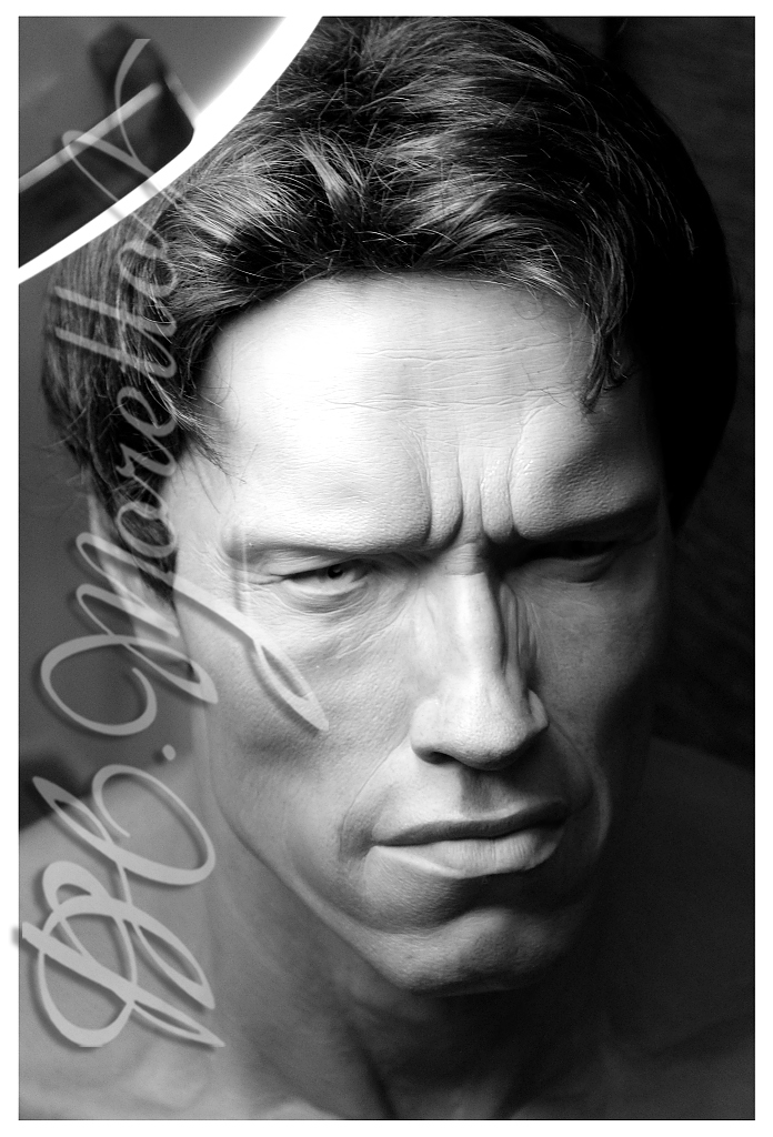 Arnold  Schwarzenegger 1:1 WIP