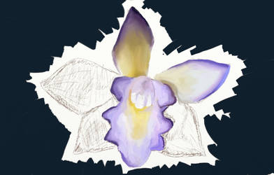 Orchid9