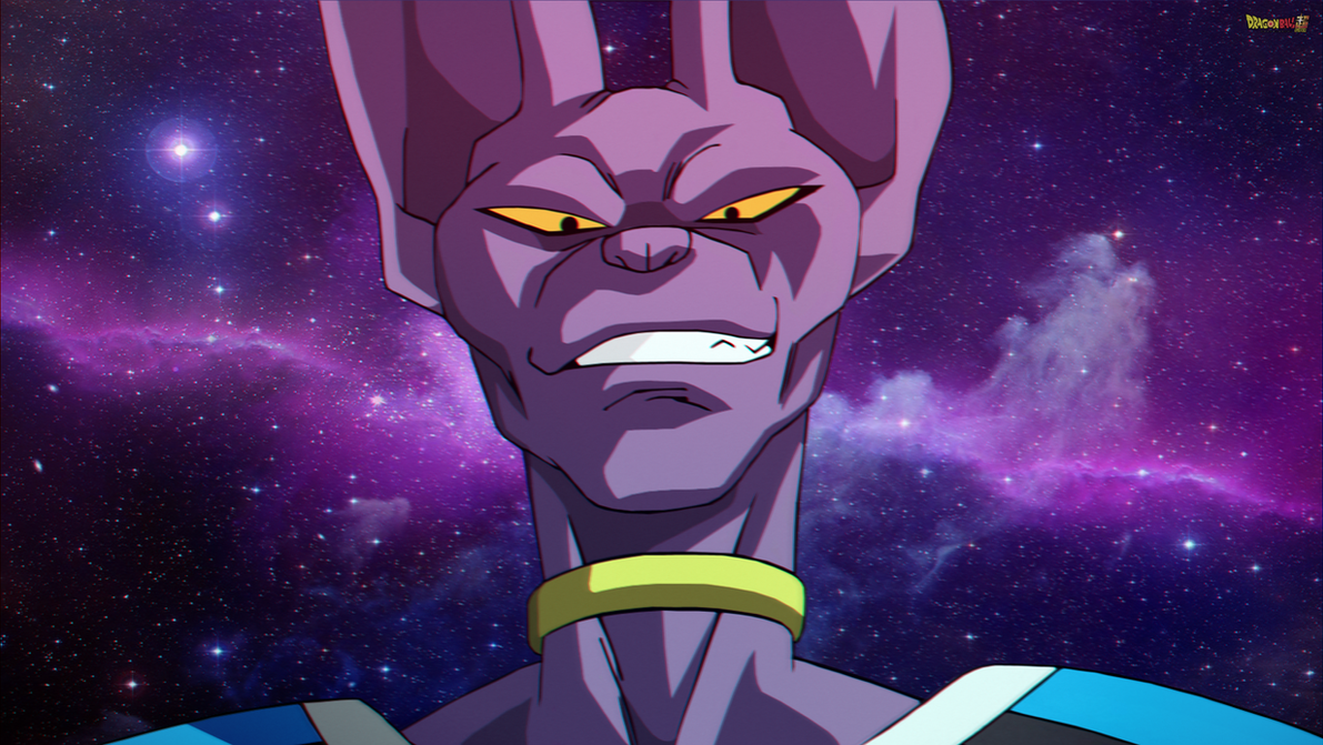 Who Is Beerus. 