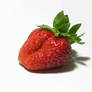 Isolated Strawberry 384760