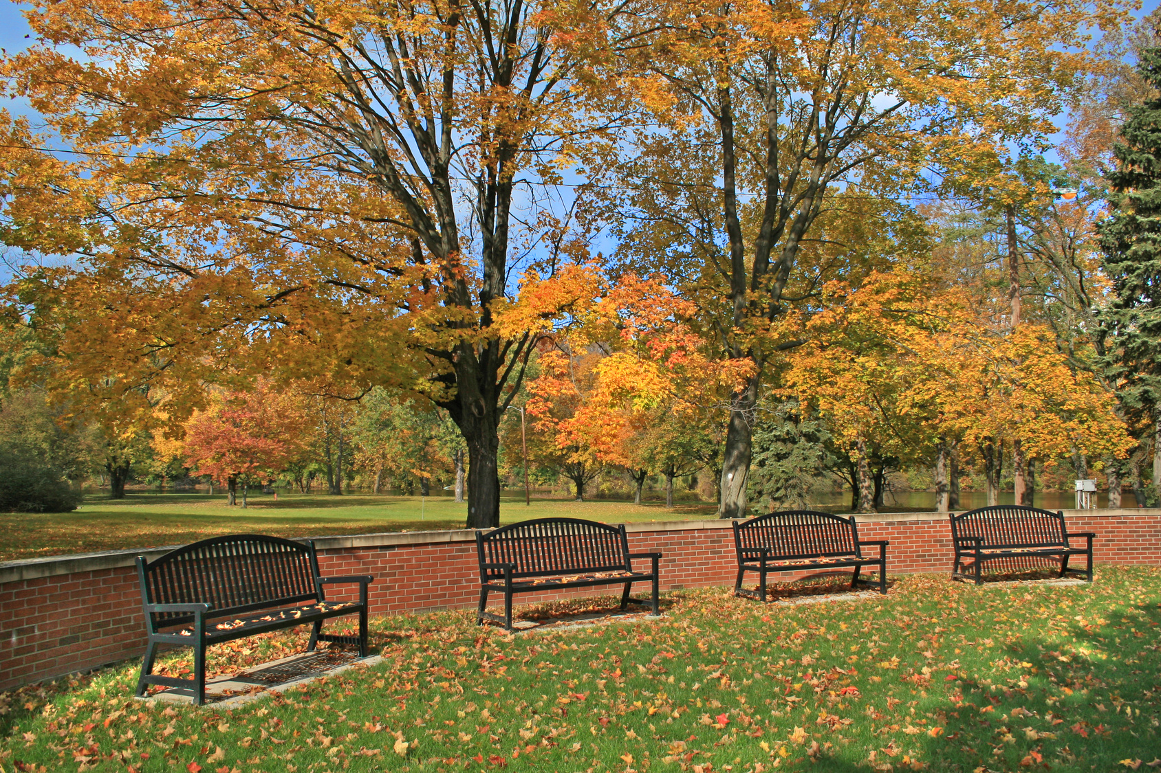 Fall Benches 4841537