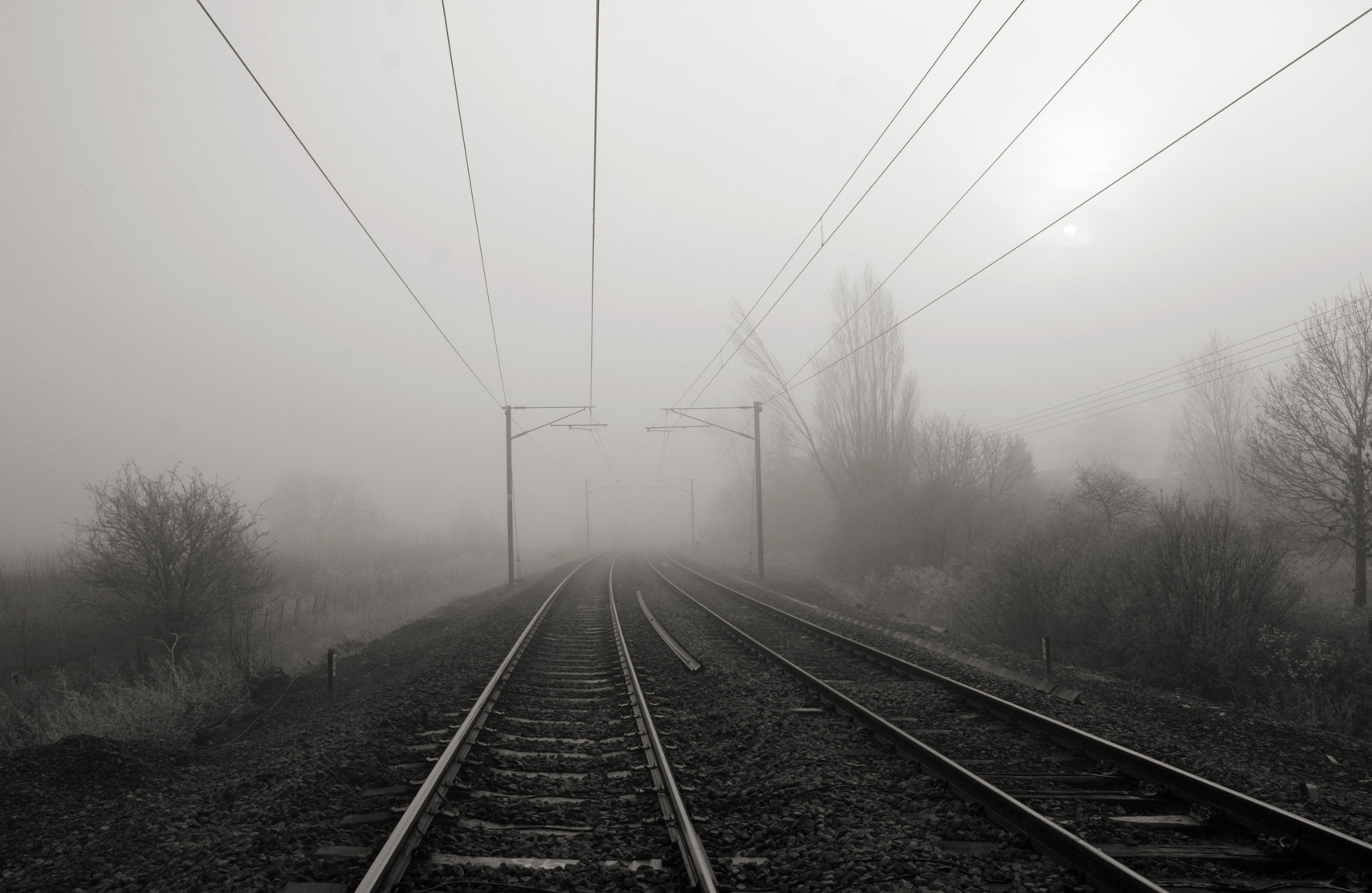 Foggy Tracks 1968322