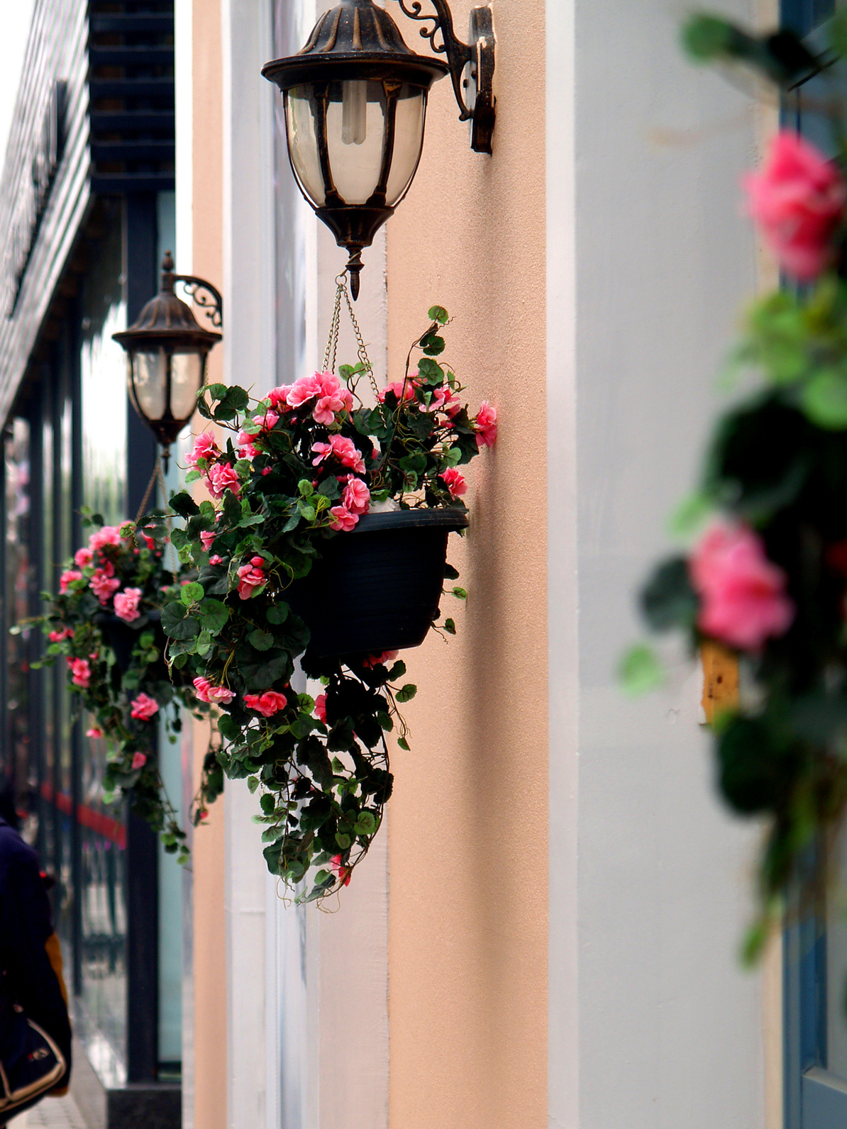 Wall Flowers 15698710