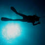Scuba Diver 4924024