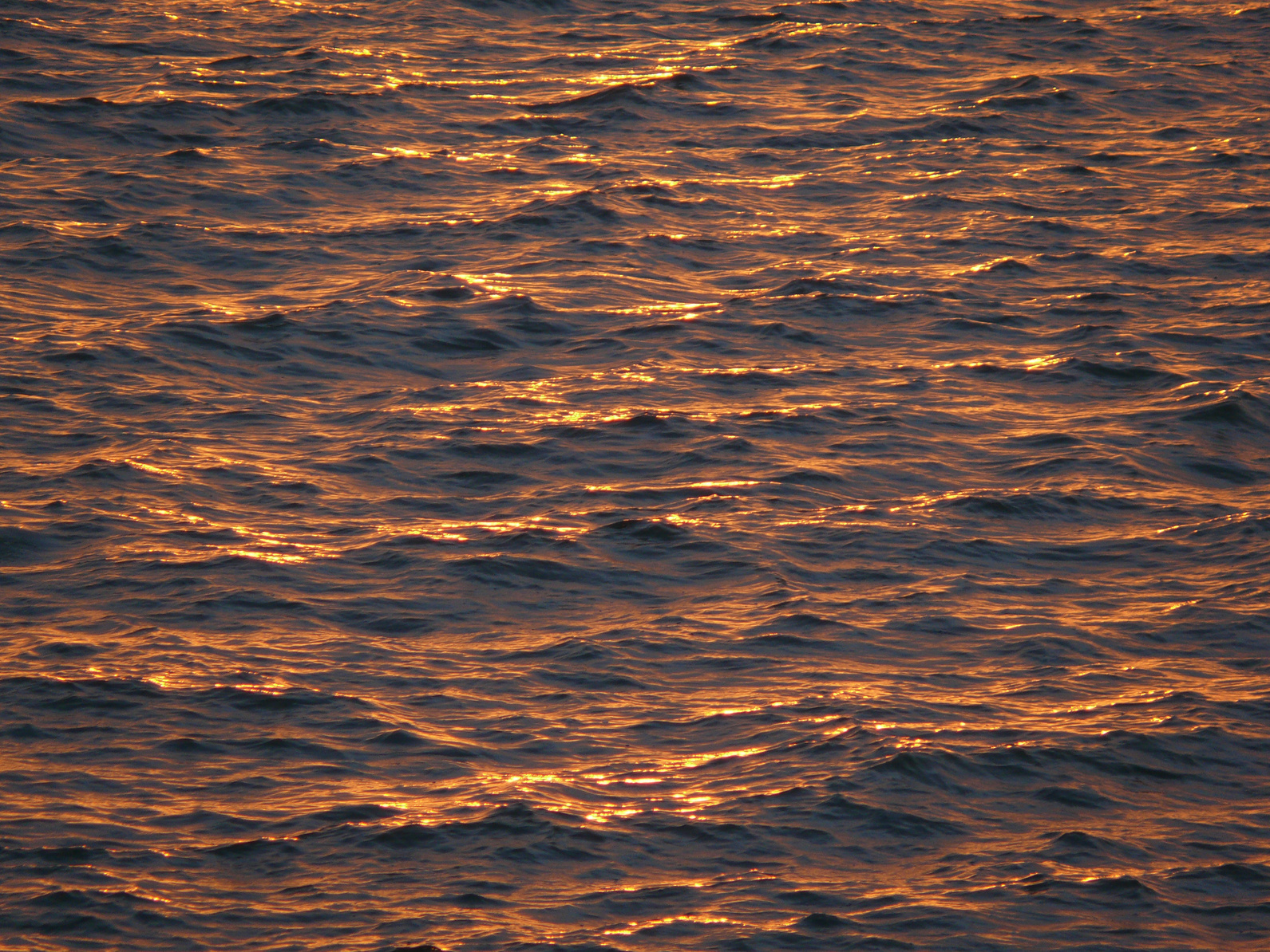 Orange Waves 15547853